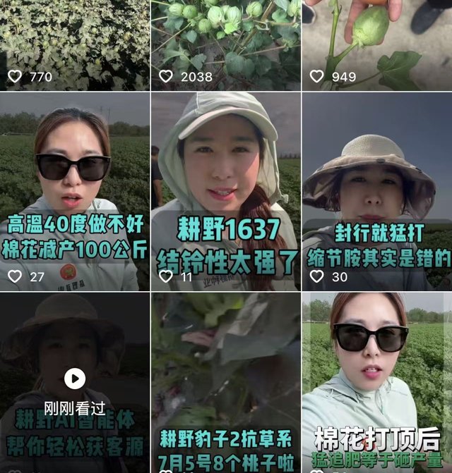 高产品种耕野抖音作品
